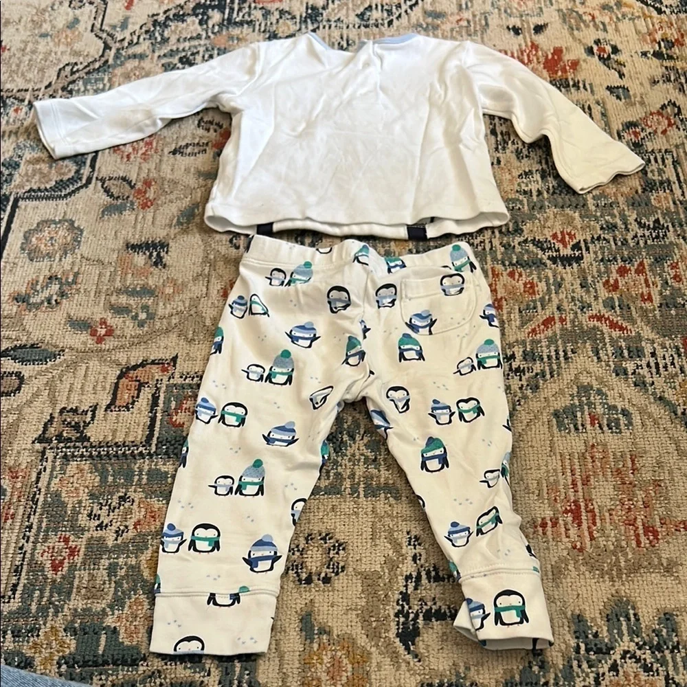 Adorable Penguin Baby Outfit